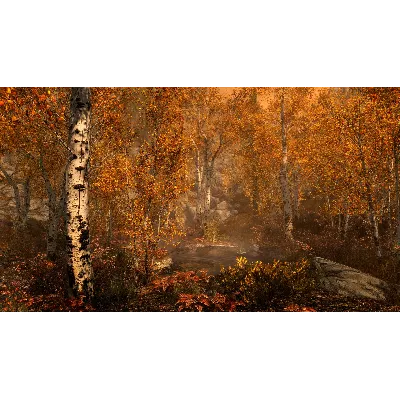 The Elder Scrolls V: Skyrim Anniversary Edition * RU - irongamers.ru