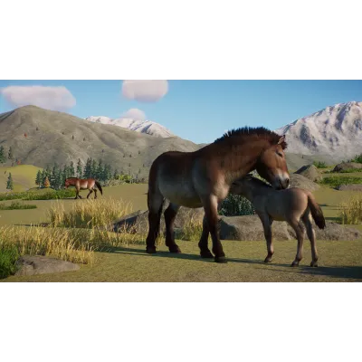 Planet Zoo: Conservation Pack DLC | Steam Gift Россия - irongamers.ru