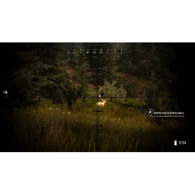 Hunting Simulator 2 Bear Hunter Edition STEAM РФ+МИР - irongamers.ru