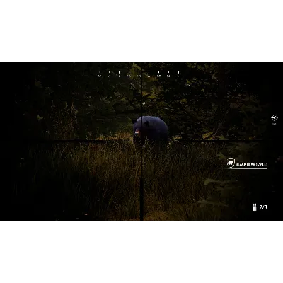 Hunting Simulator 2 Bear Hunter Edition STEAM РФ+МИР - irongamers.ru