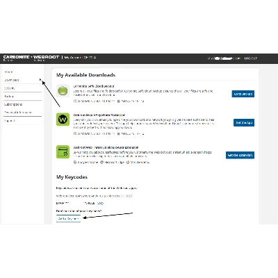 Webroot SecureAnywhere AntiVirus до 30 декабря 2026/1ПК - irongamers.ru