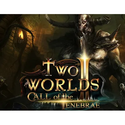 Two Worlds II HD Call of the Tenebrae (steam key) - irongamers.ru