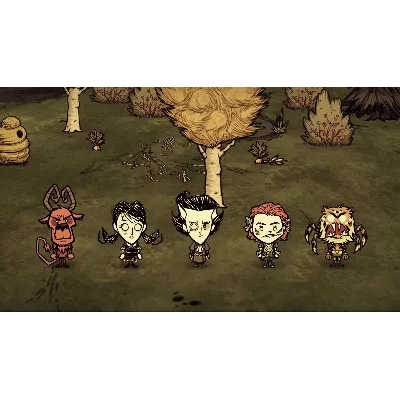 Don&acute;t Starve Together: Starter Pack 2020 DLC АВТО - irongamers.ru