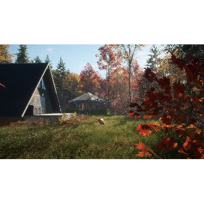 theHunter: Call of the Wild - New England Mountains - irongamers.ru