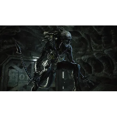 Aliens: Fireteam Elite Xbox One|X|S - irongamers.ru