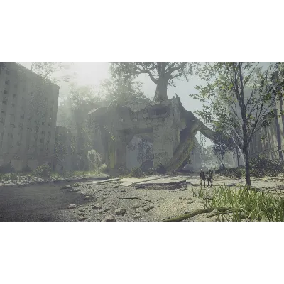 NieR:Automata™ BECOME AS GODS Edition Xbox активация - irongamers.ru