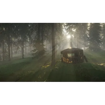 theHunter Call of the Wild - Tents & Ground Blinds (DLC) STEAM КЛЮЧ - irongamers.ru