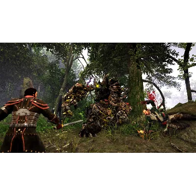 Risen 3 - Complete Edition (Steam Gift Россия) - irongamers.ru