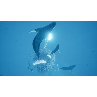 ABZU XBOX ONE|XS КЛЮЧ - irongamers.ru