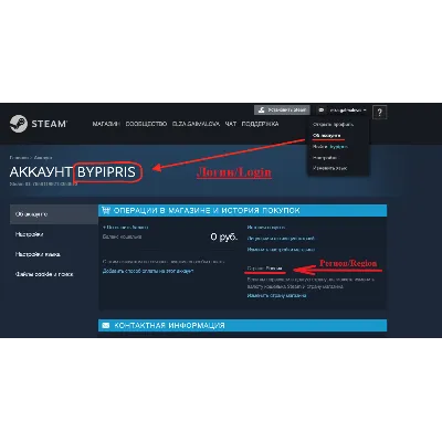 Пополнить Steam Баланс Кошелька {Россия/BY/UA/KZ/CНГ} - irongamers.ru