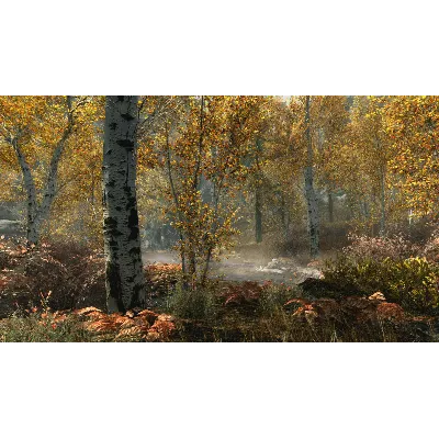 THE ELDER SCROLLS V: SKYRIM SPECIAL EDITION XBOX КЛЮЧ - irongamers.ru