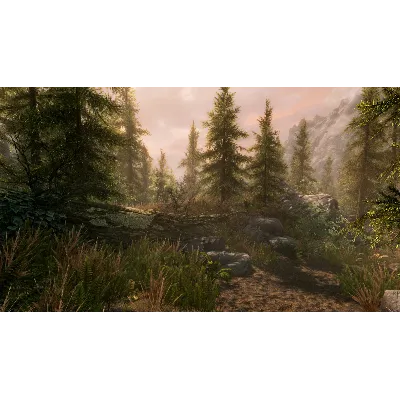 THE ELDER SCROLLS V: SKYRIM SPECIAL EDITION XBOX КЛЮЧ - irongamers.ru