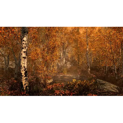 THE ELDER SCROLLS V: SKYRIM SPECIAL EDITION XBOX КЛЮЧ - irongamers.ru
