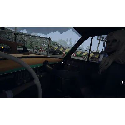 Border Officer АВТОДОСТАВКА STEAM GLOBAL МГНОВЕННО ЛИЦЕНЗИЯ - irongamers.ru