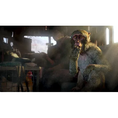 FAR CRY 4 GOLD EDITION XBOX ONE|XS КЛЮЧ - irongamers.ru