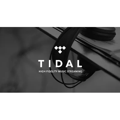 TIDAL HIFI PLUS PREMIUM 1 МЕСЯЦ Личный кабинет - irongamers.ru