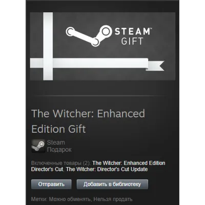 The Witcher: Enhanced Edition STEAM Gift Global + RU/CIS - irongamers.ru