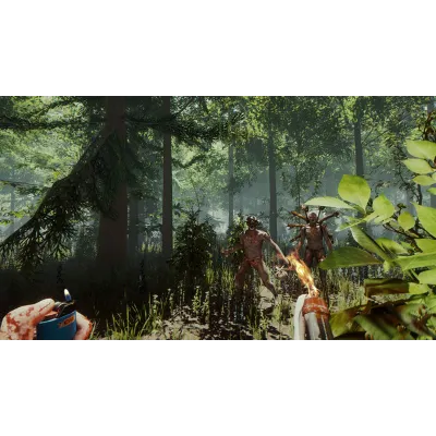 The Forest Steam Gift · АВТОДОСТАВКА · РОССИЯ + СНГ - irongamers.ru