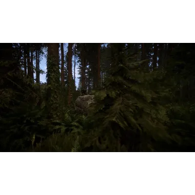 Sons of the Forest | АВТОДОСТАВКА [Россия Steam Gift] - irongamers.ru