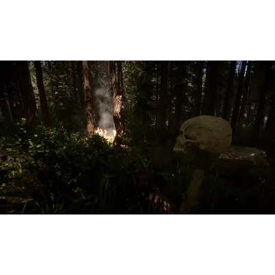 Sons of the Forest | АВТОДОСТАВКА [Россия Steam Gift] - irongamers.ru