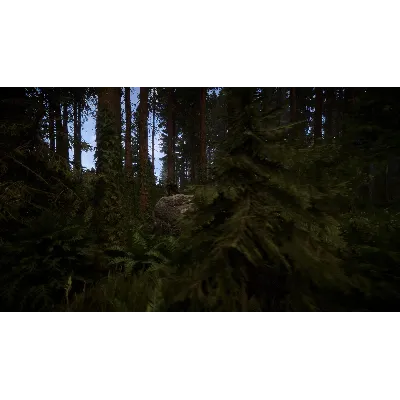 Sons Of The Forest АВТОДОСТАВКА STEAM GLOBAL МГНОВЕННО ЛИЦЕНЗИЯ - irongamers.ru