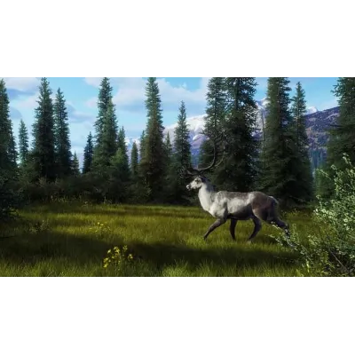 Way of the Hunter - Aurora Shores XBOX SERIES X|S Код - irongamers.ru