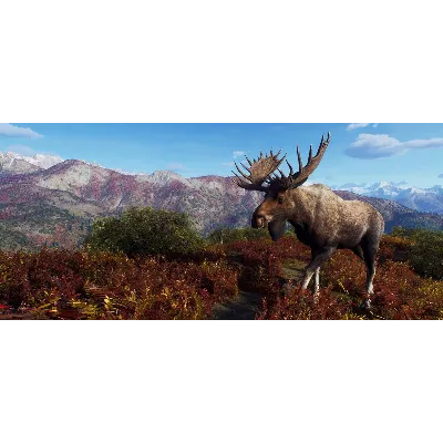 Way of the Hunter - Aurora Shores XBOX SERIES X|S Код - irongamers.ru