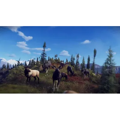 Way of the Hunter - Aurora Shores XBOX SERIES X|S Код - irongamers.ru
