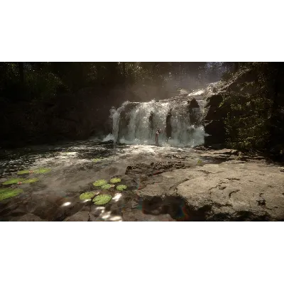 ⭐ ВСЕ СТРАНЫ+РОССИЯ⭐ Sons Of The Forest Steam Gift - irongamers.ru