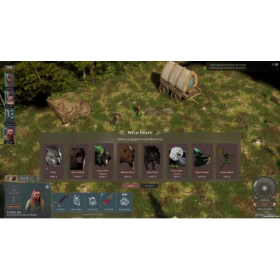 Solasta: Crown of the Magister - Primal Calling (DLC) STEAM КЛЮЧ - irongamers.ru