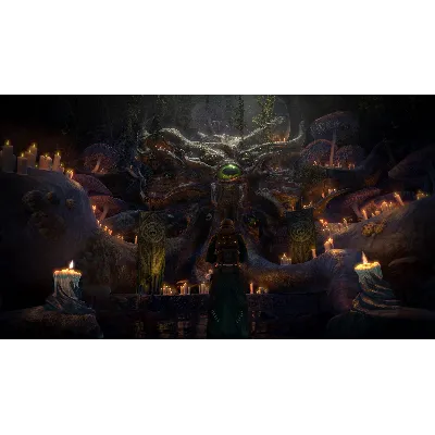 THE ELDER SCROLLS ONLINE DELUXE UPGRADE: NECROM XBOX ONE|XS КЛЮЧ - irongamers.ru
