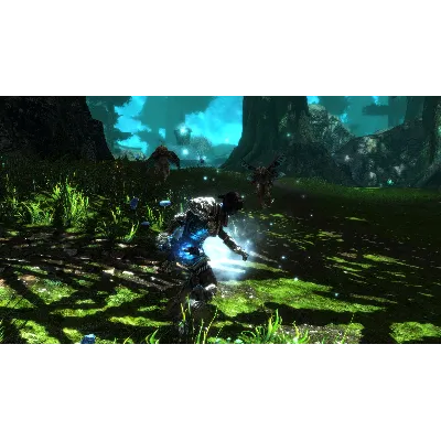 KINGDOMS OF AMALUR RE-RECKONING FATE EDITION XBOX КЛЮЧ - irongamers.ru