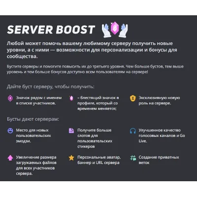 DISCORD NITRO 1/3/12 МЕСЯЦЕВ+2 БУСТА БЫСТРО - irongamers.ru