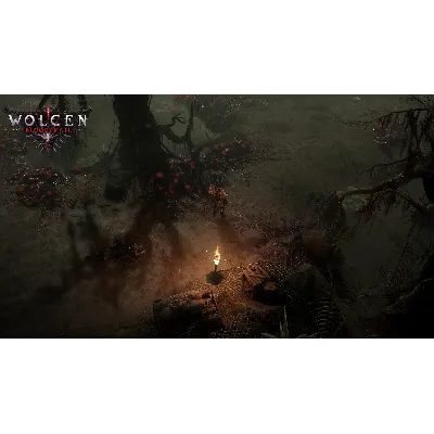Wolcen: Lords of Mayhem XBOX ONE X|S Цифровой Ключ - irongamers.ru