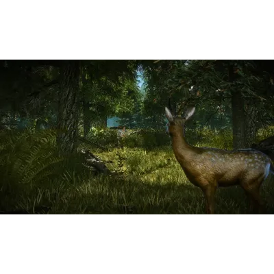 Ведьмак 2 XBOX The Witcher 2 XBOX На Любой Регион - irongamers.ru
