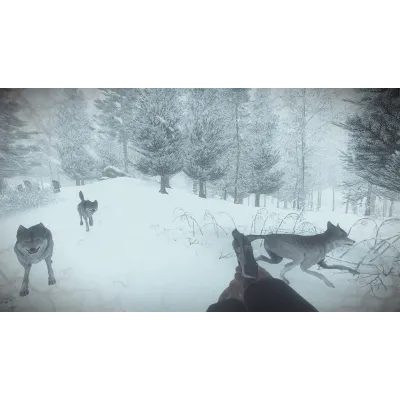 Kona Xbox One / Series X | S КЛЮЧ + ПОДАРОК - irongamers.ru