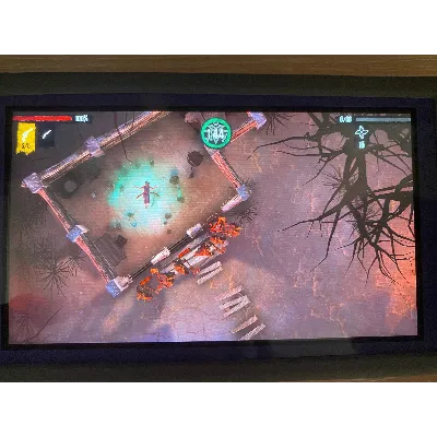Ritual: Crown of Horns (Nintendo Switch KEY/USA) - irongamers.ru