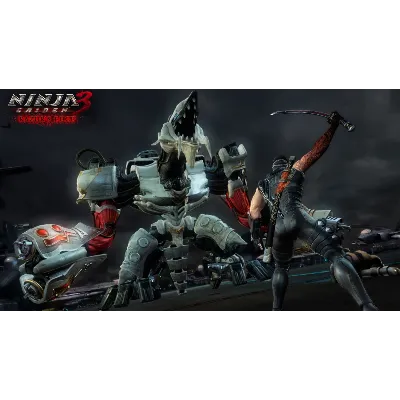 NINJA GAIDEN 3: RE XBOX На Любой Регион - irongamers.ru