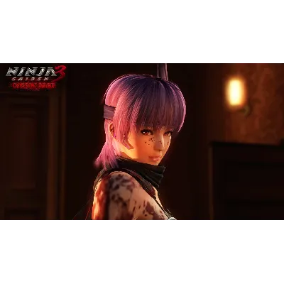 NINJA GAIDEN 3: RE XBOX На Любой Регион - irongamers.ru