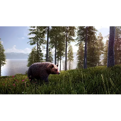 HUNTING SIMULATOR 2 BEAR HUNTER EDITION XBOX X|S KEY - irongamers.ru