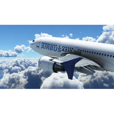 MICROSOFT FLIGHT SIMULATOR STANDARD 40TH XBOX КЛЮЧ - irongamers.ru