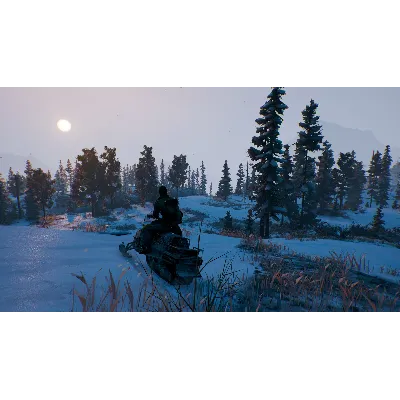 OPEN COUNTRY XBOX ONE|XS КЛЮЧ - irongamers.ru