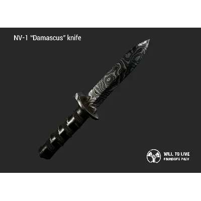 Will To Live Online - Founder&acute;s Pack Steam Gift Россия - irongamers.ru