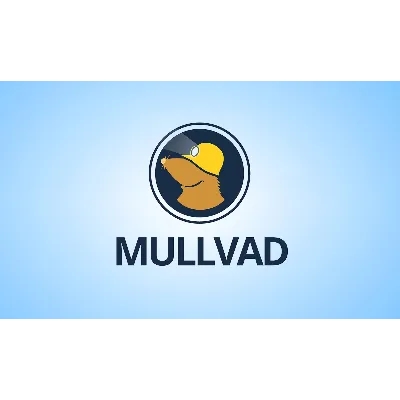 MULLVAD МУЛЛВАД Аккаунт 1 месяц - irongamers.ru