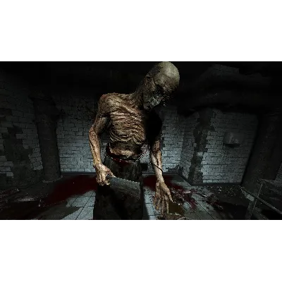 OUTLAST: BUNDLE OF TERROR XBOX ONE|XS КЛЮЧ - irongamers.ru