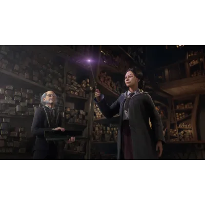 Hogwarts Legacy Deluxe Edition Steam Offline - irongamers.ru