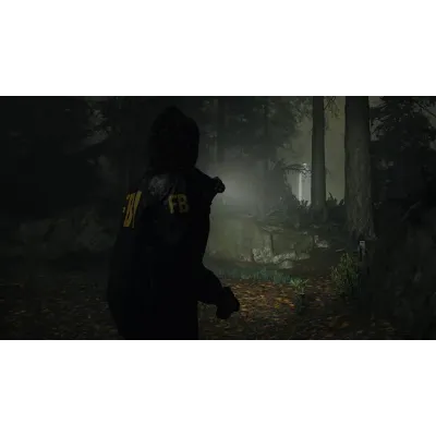 ALAN WAKE 2 DELUXE EDITION EPIC БЕЗ ОЧЕРЕДИ - irongamers.ru