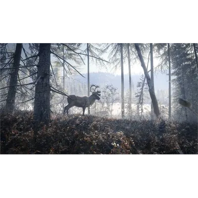 theHunter: CALL OF THE WILD MASTER HUNTER BUNDLE XBOX КЛЮЧ AR ЛИЦЕНЗИЯ - irongamers.ru