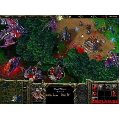 WARCRAFT 3 Gold (WOC +TFT) (Region Free) - irongamers.ru