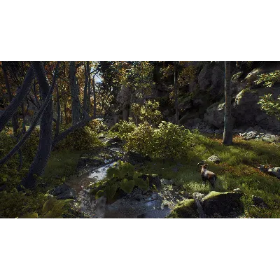 WAY OF THE HUNTER: ELITE EDITION XBOX X|S КЛЮЧ - irongamers.ru
